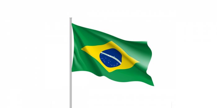 დროშა ნაჭრის ბრაზილია, 90X150სმ.