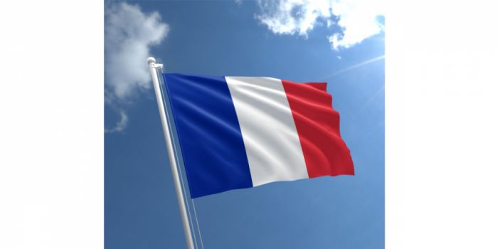 დროშა ნაჭრის საფრანგეთი, 90X150სმ.