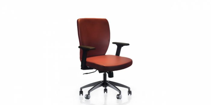 Chair with leather surface
