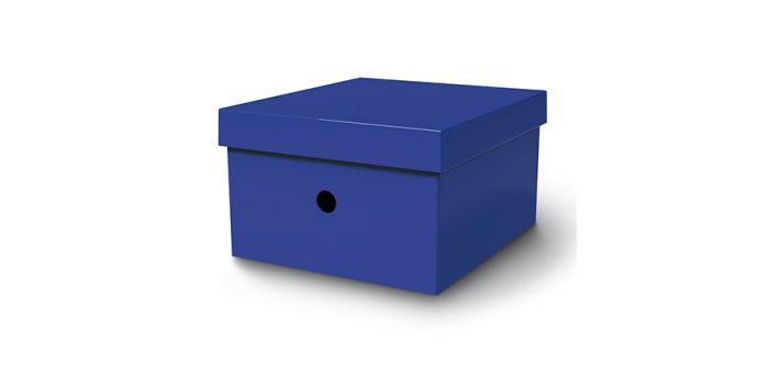 მრავალფუნქციური მუყაოს ყუთი, MAS