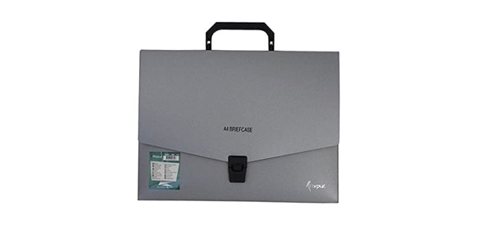 Folder bag with divider A4 plastic, 12 compartments, gray, Forpus