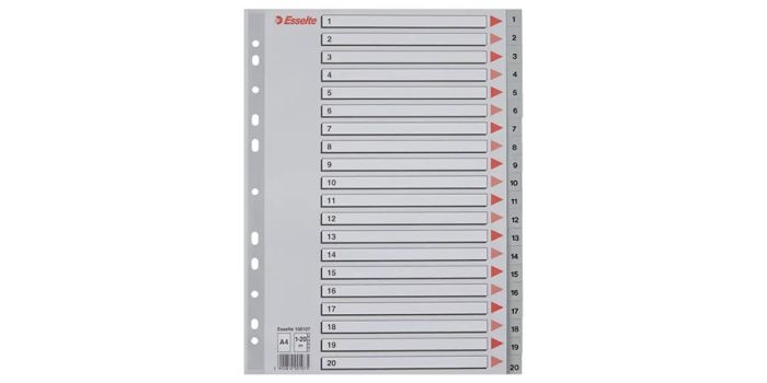 Divider Esselte, A4, 20 digits