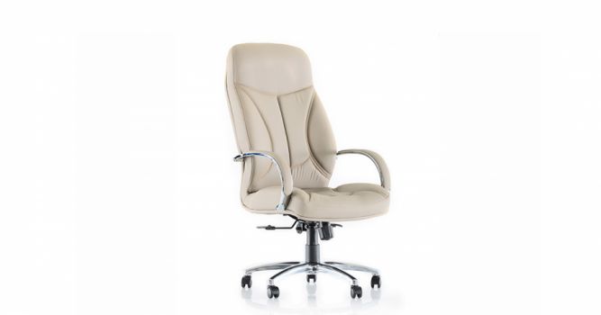 Chair RICCO 000C, with leather upper, beige