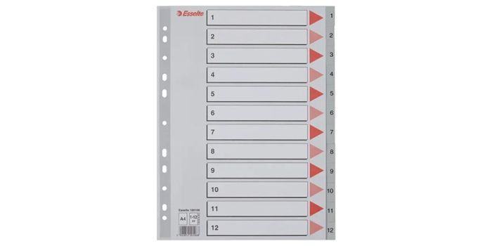 Divider Esselte, A4, 12 digits